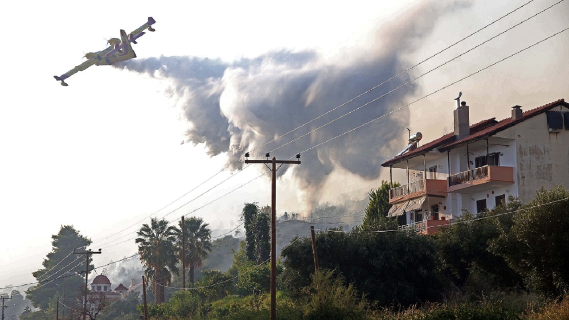 Ολονύχτια μάχη με τις φλόγες στην Κασσάνδρα - Έφτασε κοντά σε σπίτια η φωτιά